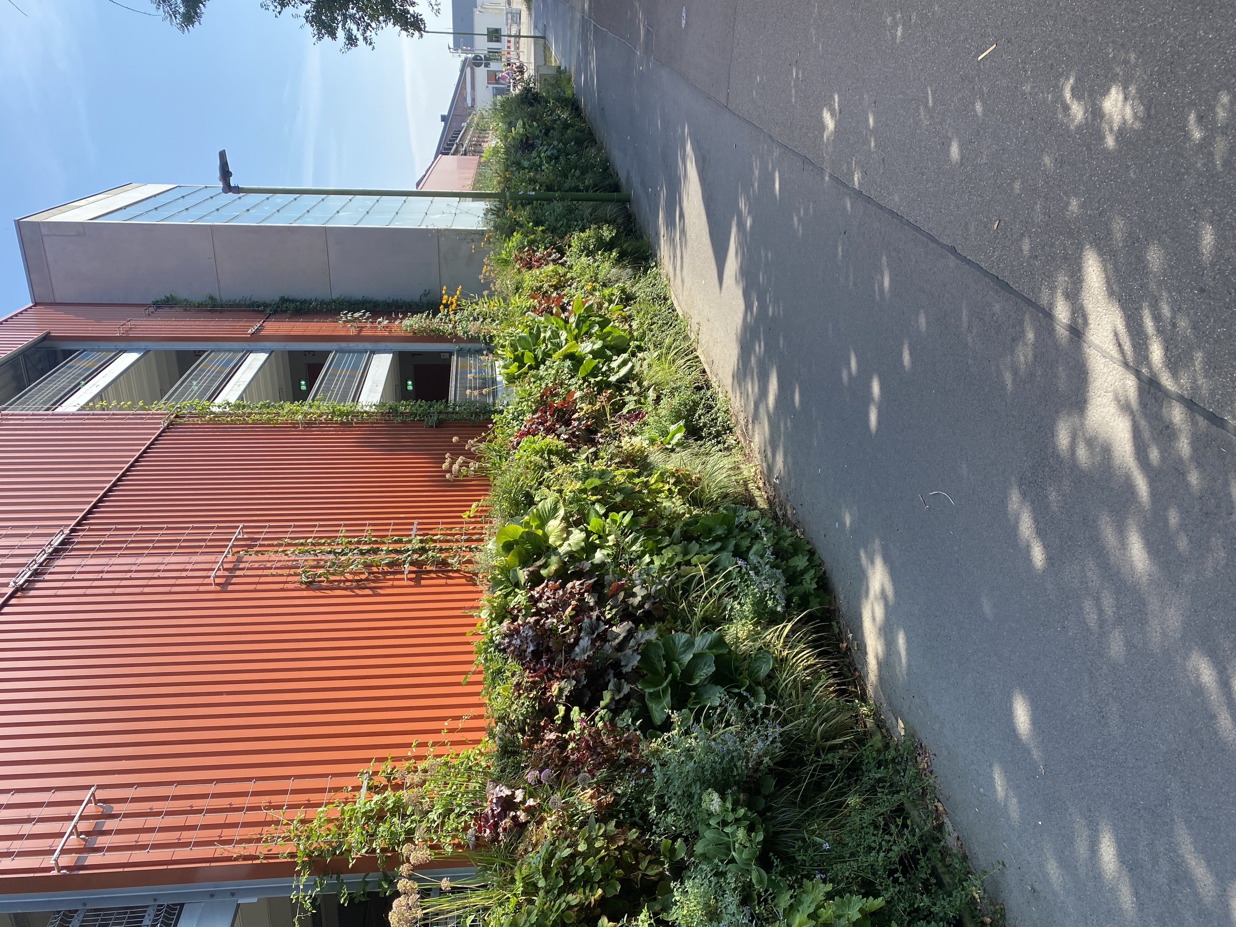 Projektbeispiel 4